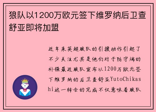 狼队以1200万欧元签下维罗纳后卫查舒亚即将加盟